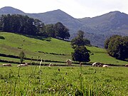 Paesaggio pastorale a Lurbe