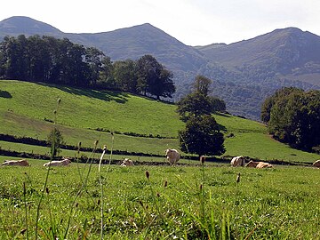 Paysage à Lurbe-Saint-Christau.