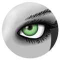 Description de l'image MeshLab logo left eye.png.