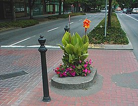 Mill Ends Park, the smallest park in the world