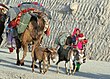 Torsdagsbilden visar kuchifolk på väg in i Panjshir Valley.