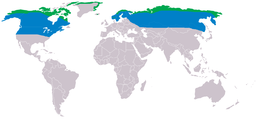 Distribución del uxu nival