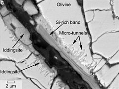 Iddingsite, témoin d'une altération aqueuse. Les micro-tunnels pourraient avoir été formés par une activité biologique.