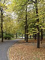 Park Tysiąclecia jesienią