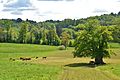 Landschap bij Chamboulive