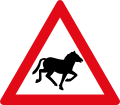Horses ahead
