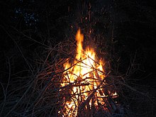 The harnessing of fire was a pivotal milestone in human history. Small bonfire.JPG