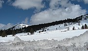 Miniatura para Bosque nacional Tahoe