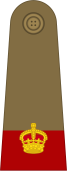 South Africa-Army-OF-3-1928.svg