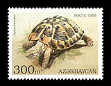 Балканская черепаха на марке Азербайджана 1995 года