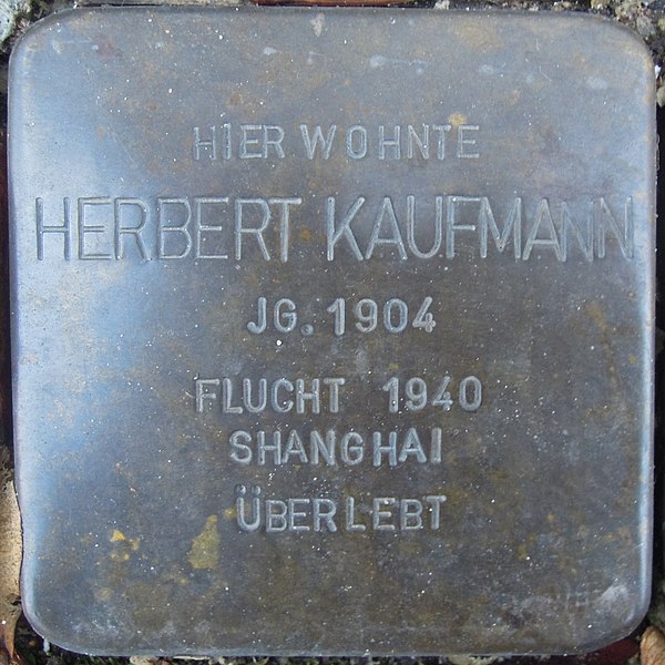 File:Stolperstein Werne Burgstr 15 Herbert Kaufmann.jpg