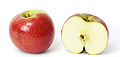 Il frutto di una angiosperma: vista esterna e in sezione di una mela