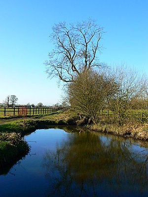 English: Tree and pond on farm track near Marr...