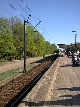 Station Zalesie Górne