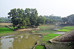 পাটেশ্বরী নদী