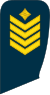 11-Lithuania Air Force-MSG.svg