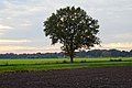 zicht naar Oosteresch vanaf Elperesch