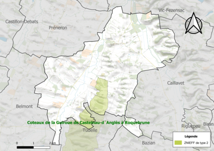 Carte de la ZNIEFF de type 2 sur la commune.