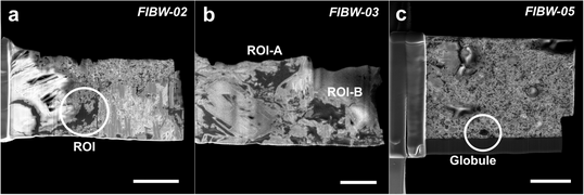 FIB-REM-Mikrofotografien mit hoher Vergrößerung von extrahierten Lamellen