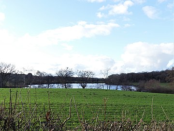 L'étang de Signolles vu depuis l'est.