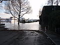 Rheinhochwasser 10.1.2011