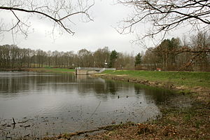 Lopausee bei Amelinghausen, mit Stauwehr im Norden, 2011