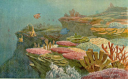 Ancient coral reefs Ancient coral reefs.jpg