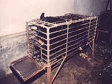 A bile bear in a "crush cage" on Huizhou Farm, China Bile bear.jpg