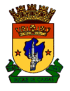 نشان رسمی Duque de Caxias