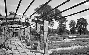 Pergola und Beete