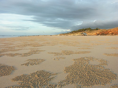 Cable Beach things to do in Broome
