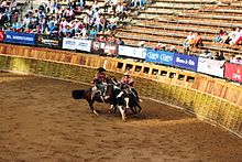 Campeonato Nacional de Rodeo 2016.JPG