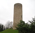 Château des comtes de Forez