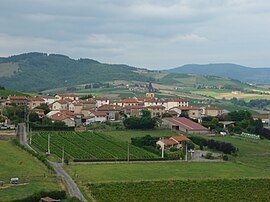 A general view of Dareizé