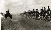 British camel troopers in British Somaliland Engelse kameelruiters - English camel troopers.jpg