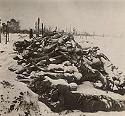 Morts de la famine en Russie, photographie de Fridtjof Nansen, 1921