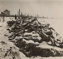 Трупы умерших от голода, собранные за несколько декабрьских дней 1921 на кладбище в Бузулуке, 1921 год.