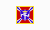 Flag of Aryan Nations (alternative).svg