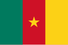 Kamerunin lippu.