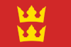 Flag of Frei Municipality