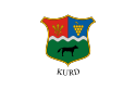 Kurd – Bandiera
