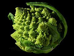 Fractal Broccoli. Also used in a FireFox theme.