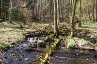 Potok „Schwarzer Fluss“, v osadě Oberwald v okrese Grebenhain ve stejnojmenné obci v Hesensku, Německo