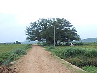 గుత్తికొండ బిలం (CAVE) రహదారి