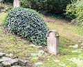 alter jüdischer Friedhof