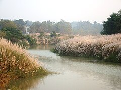 Mahendratanaya river
