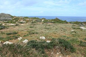 Malta - Marsaxlokk - Triq Xrobb l-Ghagin - Xrobb l-Ghagin - Temple 01 ies.jpg