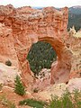 Natural Bridge at Bryce Canyon National Park, Utah. Actually an arch.