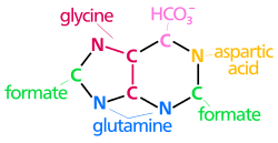Nucleotide synthesis.svg