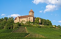 92. Platz: Roman Eisele mit Burg Lichtenberg bei Oberstenfeld